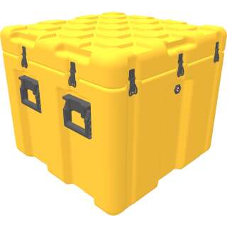 ISP² Case EU070070-4010