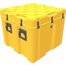 ISP² Case EU070070-5010