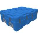 ISP² Case EU080060-2010