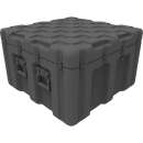 ISP² Case EU080080-4010